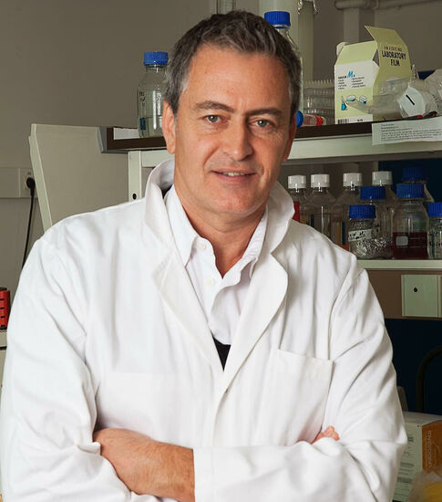 COVID-19 : quels impacts sur le cancer ?