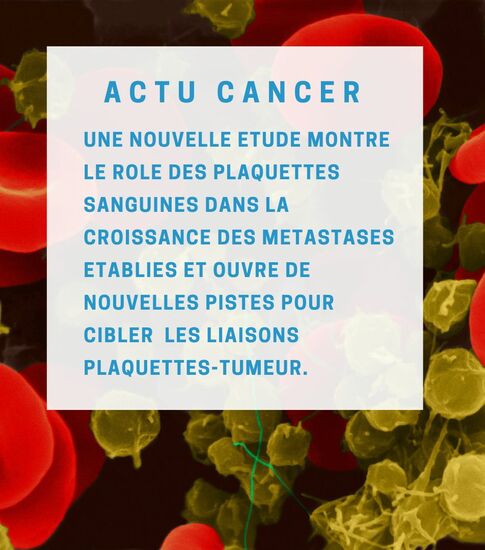 [Actu Santé] le rôle des plaquettes sanguines dans la croissance des métastases établies