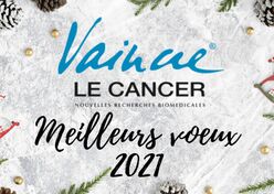 Je vous souhaite de très belles fêtes de fin d'année