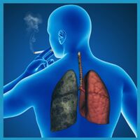 Tabagisme : nouvelle étude sur les biomarqueurs impliqués dans les effets nocifs du tabac