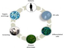 INSERM U1310 modèles d'organoïdes tumoraux