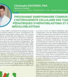 Programme embryonnaire commun dans l’hétérogénéité cellulaire des tumeurs pédiatriques d’hépatoblastoma et de médulloblastoma