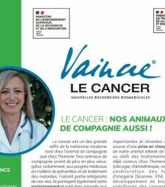 Le cancer : nos animaux de compagnie aussi !