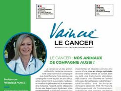 Le cancer : nos animaux de compagnie aussi !