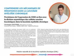 Persistance de l’expression de CD63 en lien avec la division asymétrique des cellules souches leucémiques dans la leucémie myéloïde chronique