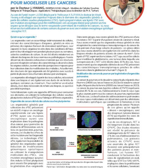 GENERATION DE « MINI-CANCERS » IN VITRO : TECHNOLOGIES D’ORGANOIDES POUR MODELISER LES CANCERS