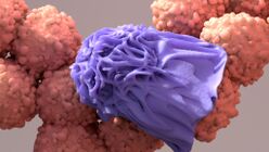 Soutenez des programmes de recherche innovants contre le cancer grâce à votre IFI