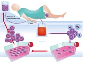 Immunotherapie
