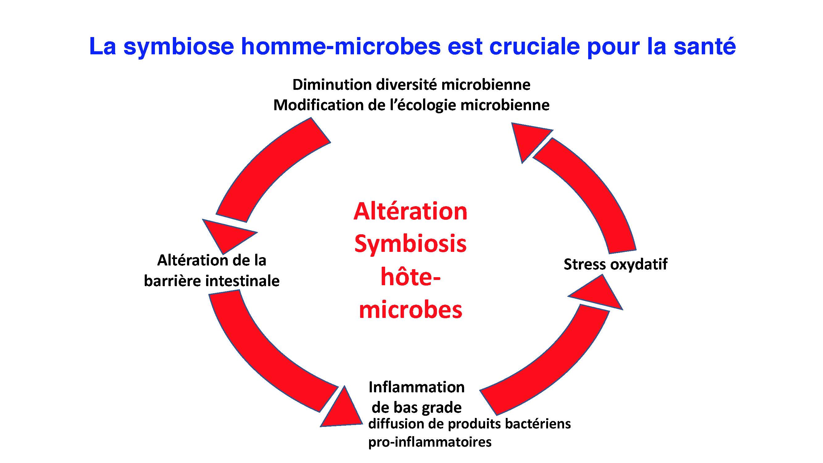 Symbiose homme microbiote